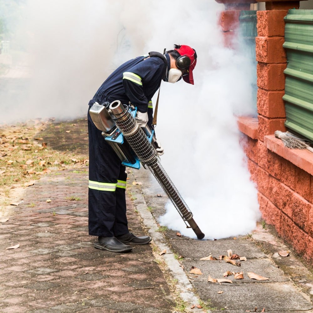 Hotel kitchen pest control service in Noida – cockroach gel baiting and rodent control for commercial kitchens