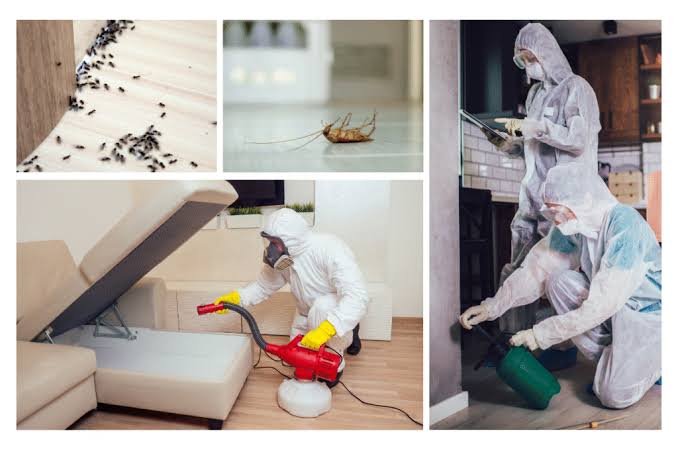 Hotel pest control service in Noida – certified technicians inspecting a hotel guest room and service corridor