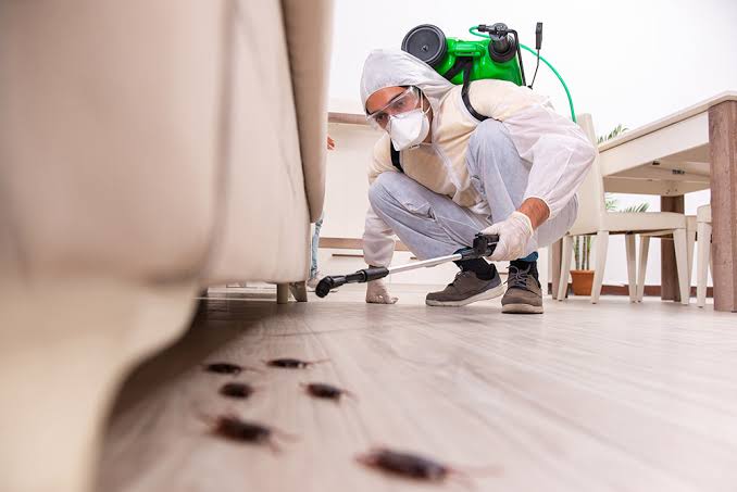 Restaurant and banquet hall pest control service in Noida – fly control and cockroach treatment for hotel F&B outlets