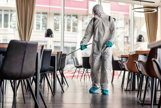 Restaurant pest control service in Gurgaon – certified technicians inspecting a commercial kitchen and dry store