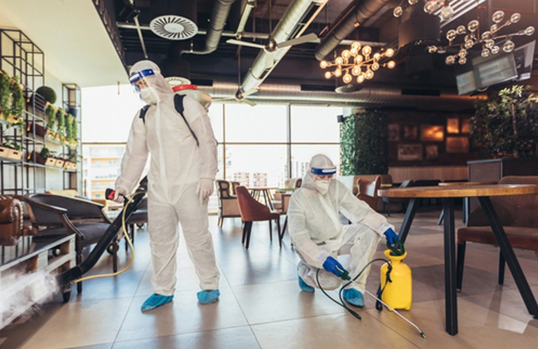 Cockroach and rodent control for restaurant kitchens in Gurgaon – drain treatment, gel baiting and bait station placement
