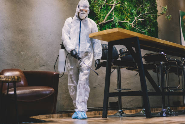 Restaurant and café pest control service in Gurgaon – fly control and cockroach treatment for dining and bar areas